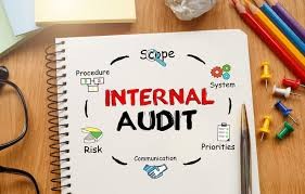 DASAR INTERNAL AUDITOR BUMN DALAM TATA KELOLA ORGANISASI